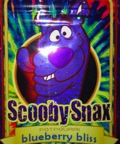 Scooby Snax Blueberry Bliss (4g)