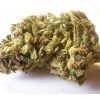 Jack Herer Medical Marijuana Strain