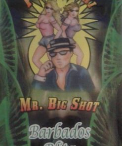 Mr. Big Shot Barbados (5g)