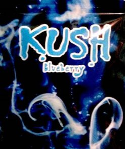 Kush Blueberry (4g)